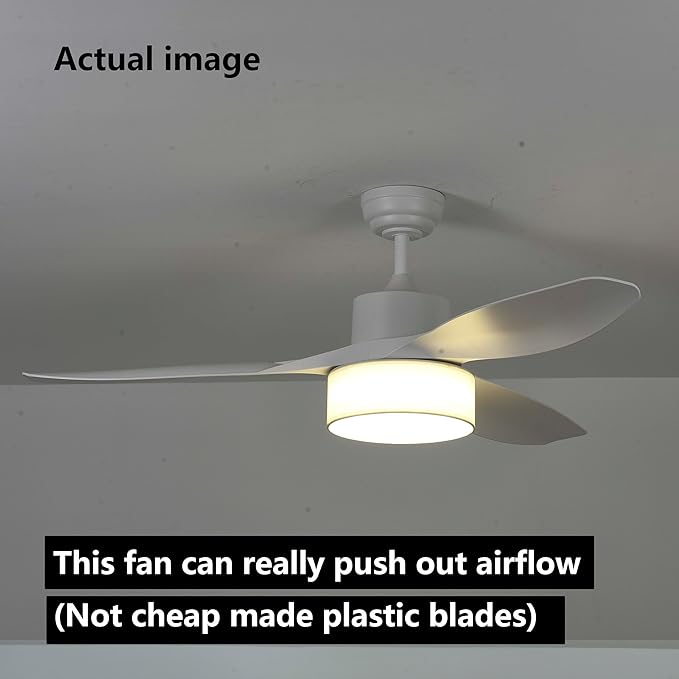 Eamonex LED 52 inches DC Fabric Ceiling Fan with Light Fixture and Remote Control,Modern Boho Dimmable Fandelier for Indoor,Outdoor,Bedroom,Living room,Dining room