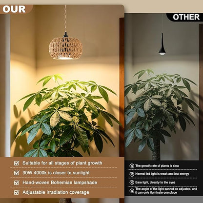 Hanging Grow Light for Indoor Plants, 30W 4000K Full Spectrum LED Pendant with Timer, Hand-Woven Shade, 15FT Cord, Kit for Office Desk, Bookshelf, Cube Decor, Low Light Spaces