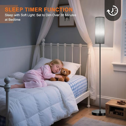 FRIDEKO HOME Gray Floor Lamps for Bedroom, Dimmable Colors Temperature & Brightness, Plug in Modern Floor Lamps for Living Room, Tall Standing Lamps for Office, Corner Lamp, 9W RGB LED Bulb