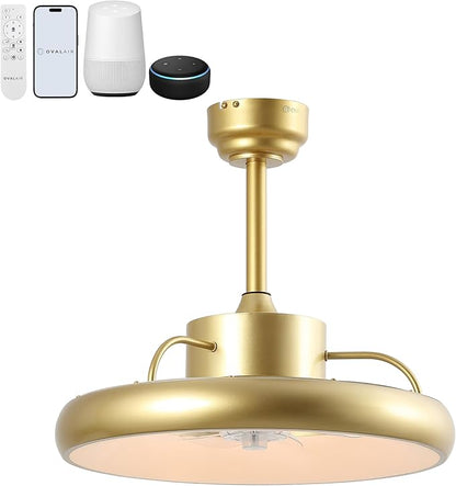 Oval AIR Loren 20" Small Smart Ceiling Fan with Light, Semi Flush Mount, Quiet 6-Speed Reversible Motor, Dimmable LED, Adjustable CCT, App & Remote Control, Modern Glam, Gold AIR8002A