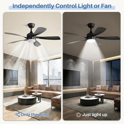 Sofucor 52 Inch Ceiling Fans with Lights and Remote, Outdoor Ceiling Fan with Light 6-Speed 3 CCT 3-Timer, Black Low Profile Ceiling Fan 5 Blade Reversible DC Motor for Living Room Bedroom Patio