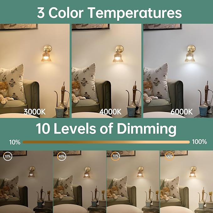 Shenmoyl Vintage Battery Operated Wall Sconces Set of Two, Rechargeable Battery Powered Wall Sconce with Remote Control, Wireless Dimmable LED Light for Bedside Indoor Living Room (Amber Pineapple)