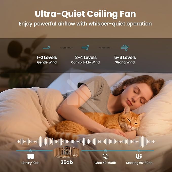 20'' Flush Mount Caged Ceiling Fan with Light, Wooden Low Profile Ceiling Fan with Light and Remote, 6 Speed and Reversible, Farmhouse Enclosed Fan Lights for Bedroom, Dining Room