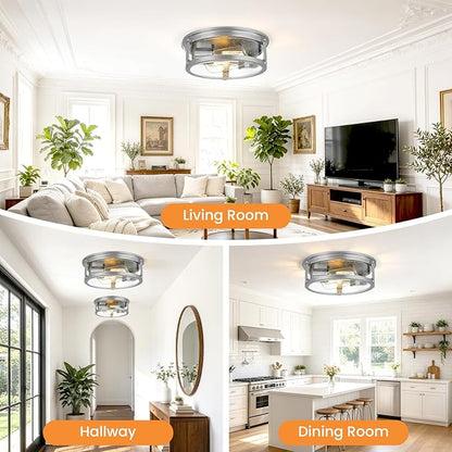 Flush Mount Ceiling Light, 2-Light Metal Cage Ceiling Light Fixture, Brushed Nickel Flush Mount Light with Seeded Glass Shade for Kitchen, Hallway, Bedroom (12 Inch)