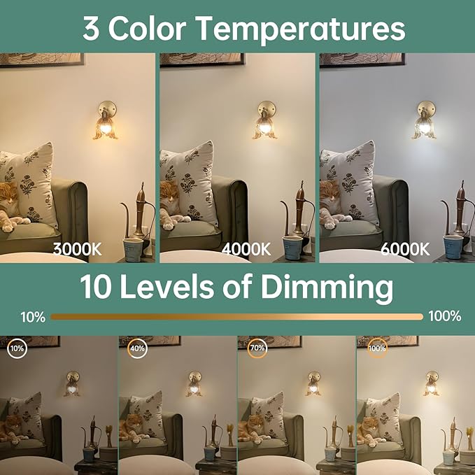Shenmoyl Vintage Battery Operated Wall Sconces Set of Two, Rechargeable Battery Powered Wall Sconces with Remote Control, Wireless Dimmable LED Light for Bedside Indoor Living Room (Amber Lily)