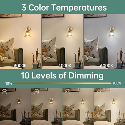 Shenmoyl Vintage Battery Operated Wall Sconce, Rechargeable Battery Powered Wall Sconces with Remote Control, Wireless Dimmable LED Light for Bedside Indoor Living Room (Amber Lily)