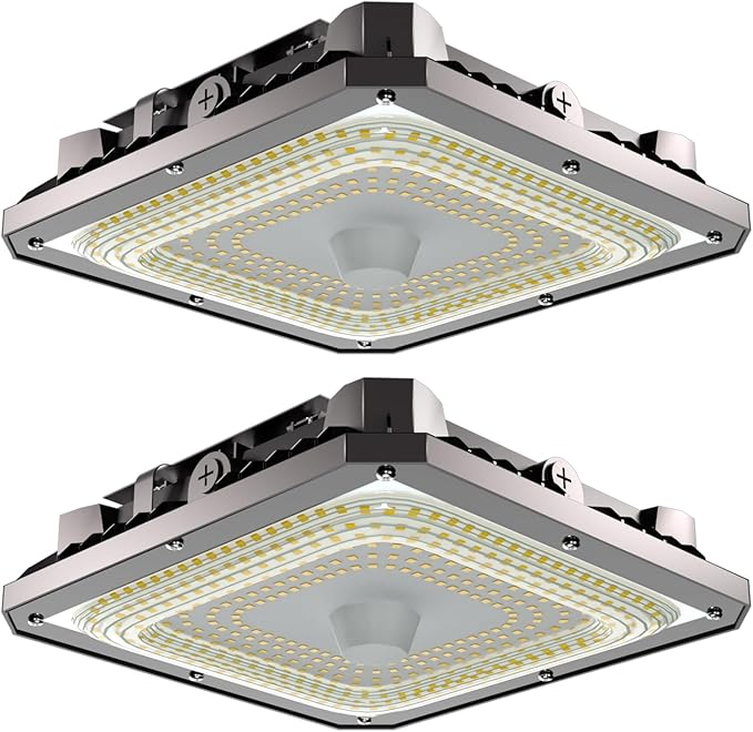 Lightdot 80W LED Canopy Celling Lights, Large Coverage 12,000LM Canopy Light Outdoor LED for Garage Carport Entrance Porch Barn 5000K, 100-277V IP65 Waterproof, ETL Listed - 2Pack