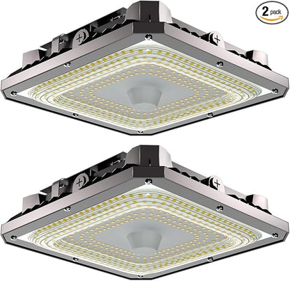 Lightdot 2Pack 100W LED Canopy Celling Lights, Large Coverage 15000LM Canopy Light Outdoor LED for Garage Carport Entrance Porch Barn 5000K, 100-277V IP65 Waterproof, ETL Listed