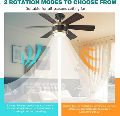 SHOWDI Ceiling Fan with Lights and Remote, 6 Blade App Control Timer Reversible Stepless Brightness and Color Temperature Outdoor Wood Ceiling Fan with Lights (Black-Gold, 42 Inch)
