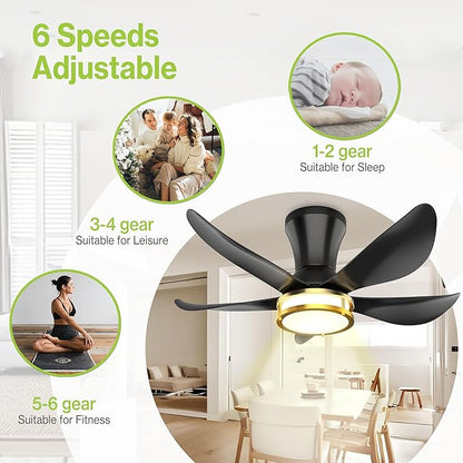 DAMINY 30 Inch Black and Gold 5 Blade Ceiling Fan with Light, Modern Ceiling Fan with Remote,Large Airflow,Flush Mount,6CCT,Dimmable,Noiseless,Bedroom