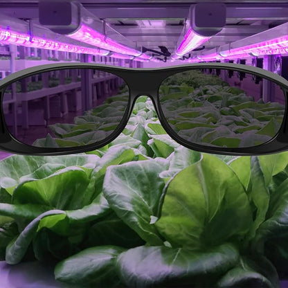 Hydroponic Indoor Grow Room Glasses (2-Pack), LED Grow Light Glasses for Eye Protection in Greenhouse & Vertical Farming
