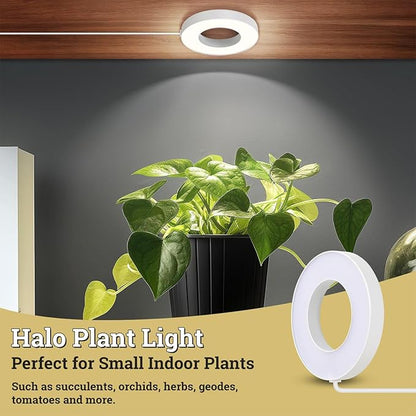 Banax 2 Pack LED Grow Light for Indoor Plants 144 LEDs, Dual-Head Ring Design, 5V/2A 10 Brightness Levels, 3/9/12H Timer, Ideal for Herbs, Succulents & Seedlings（White）