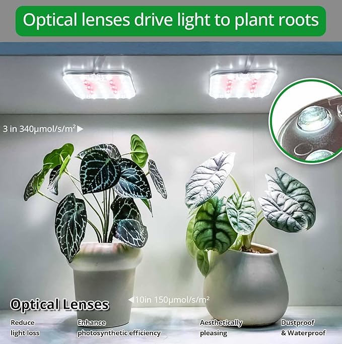Full Spectrum LED Grow Light for Indoor Plants, 2 Panels 10W with 6/12/16h Timer Dimmable Plant Lights for Flower Veg Plant Growth USB, Netural White, 1-Pack
