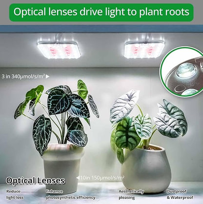 Full Spectrum LED Grow Light for Indoor Plants, 2 Panels 10W with 6/12/16h Timer Dimmable Plant Lights for Flower Veg Plant Growth USB, Netural White, 1-Pack