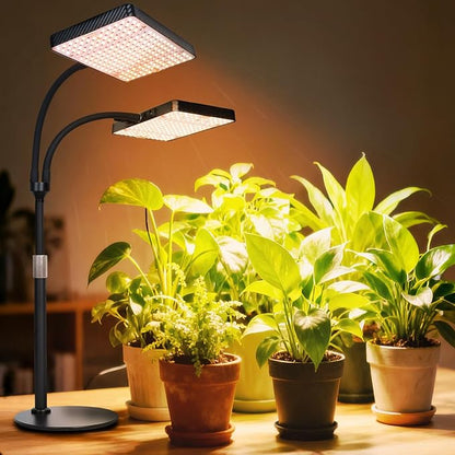 2026 2Head Desk Grow Light, Big Coverage Tabletop Grow Lights for Indoor Plants, Bonsai, Seed Starting, 4/8/12/16/20H Timer, 50 Watt Power Draw, NO Need Adapter, 16"-24" Height Adjustable