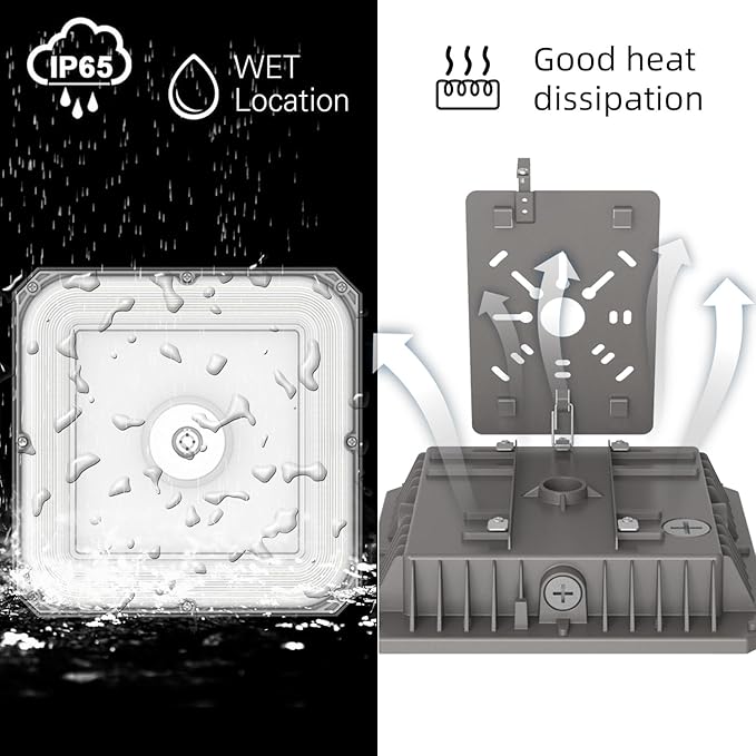 LED Canopy Lights Outdoor, with Selectable Wattage (100/80/60W) and CCT,IP65 Waterproof, for Carport, Gas Station, Tunnel, Warehouse, Inner Parkinglot,Shop Lights 10 * 10 (100W-1P)