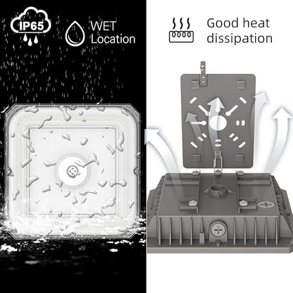 LED Canopy Lights Outdoor, with Selectable Wattage (100/80/60W) and CCT,IP65 Waterproof, for Carport, Gas Station, Tunnel, Warehouse, Inner Parkinglot,Shop Lights 10 * 10 (100W-1P)