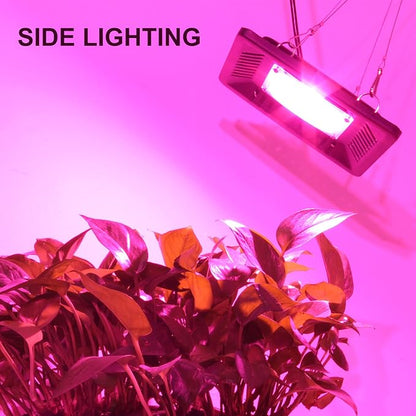 Waterproof 100W LED Grow Light Full Spectrum, New Technology COB LED Grow Light, Natural Heat Dissipation Without Noise, Suitable for Plants All Growing Stage Indoor or Outdoor.