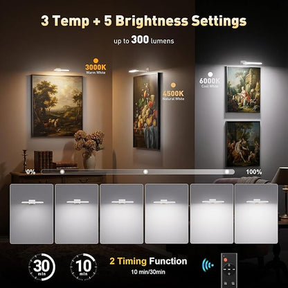 NARUNDREN 2 Pack Picture Lights for Wall, Rechargeable LED Picture Light Battery Operated with Remote, Dimmable Poster Light for Paintings, Portraits, Art Frames, Display Lighting for Wall Decor,White