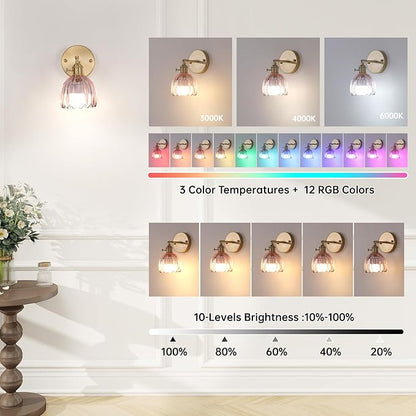 Shenmoyl Vintage 5000 mAh Battery Operated Wall Sconce with Pink Clear Tulip Glass Lampshade Rechargeable Battery Powered Wall Light with Remote Control for Bedroom Doorway, Set of 2