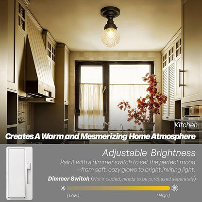 Schoolhouse Semi Flush Mount Ceiling Light,Black Close to Ceiling Light Fixtures with Hand-Blown Glass Shade Modern Hallway Ceiling Lamp for Laundry Entryway Kitchen Bathroom E26