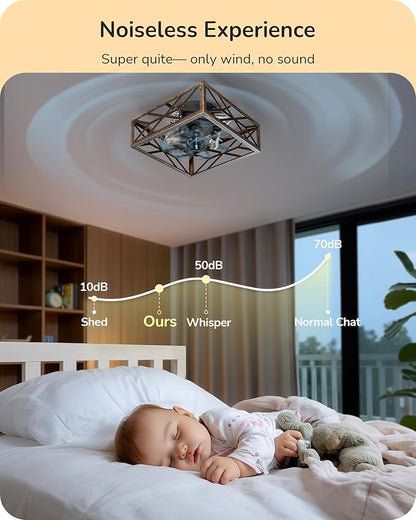 EDISHINE Caged Ceiling Fans with Lights Flush Mount, Rustic Square Low Profile Enclosed Fan Ceiling with Remote, 2/4 H Timer, Reversible 6 Speed, Farmhouse Small Fan for Bedroom, Kitchen, Dining Room