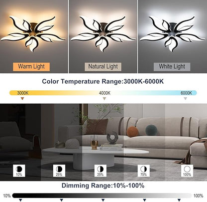 Modern Ceiling Light Fixture, 3000K-6000K Dimmable Flush Mount Ceiling Light, 45W Acrylic Black LED Ceiling Lights for Living Room, Bedroom, Dining Room,23.6In
