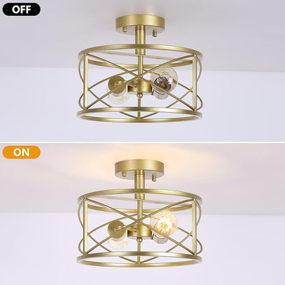 2-Light Semi Flush Mount Matte Gold Ceiling Light Fixture, Farmhouse Industrial Metal Cage with Adjustable Height, Dimmable for Hallway Entryway Kitchen Bedroom Foyer Laundry Low Ceiling
