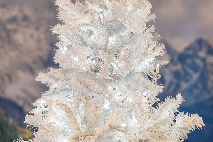 Novelty Lights 25ft Christmas String Lights, 50 Pure White LED Bulbs on White Wire, 6" Spacing, Connectable Indoor Outdoor Commercial Grade Lighting for Holidays Patio Weddings