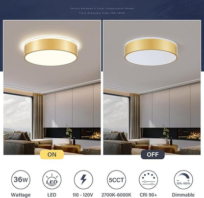 Dimmable Gold LED Large Flush Mount Ceiling Light, 5CCT 2700K-6000K Ceiling Light Fixture,Modern Round Metal Ceiling Lamp for Bedroom, Kitchen, Living Room 36W- 15.7in
