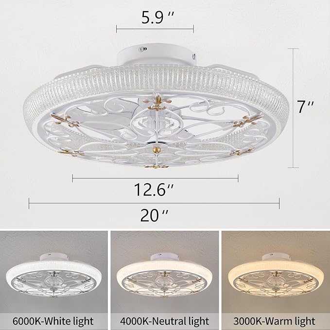 20" White Caged Ceiling Fan with Lights Remote Control with Crystal Sand Lampshade, Rustic Industrial Ceiling Fan with Light for Kitchen Bedroom Living Room