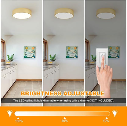 Dimmable LED Ceiling Light, 5CCT Modern Round Close to Ceiling Lighting Fixtures, Minimalist Gold Ceiling Lamp for Bedroom, Hallway, Laundry Room,11.8 inch