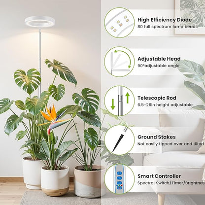 Kullsinss White Grow Light, Full Spectrum LED Plant Lighs for Indoor Growing with 6/12/16H Timer, 3 Color Modes, 5 Brightness, 10"-60" Height Adjustable Plant Lamp for Tall Indoor Plants (3 Pack)
