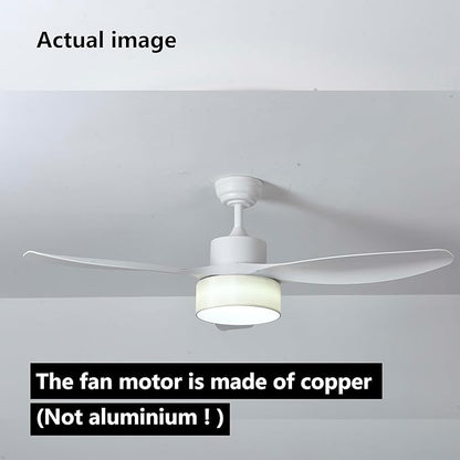 Eamonex LED 52 inches DC Fabric Ceiling Fan with Light Fixture and Remote Control,Modern Boho Dimmable Fandelier for Indoor,Outdoor,Bedroom,Living room,Dining room