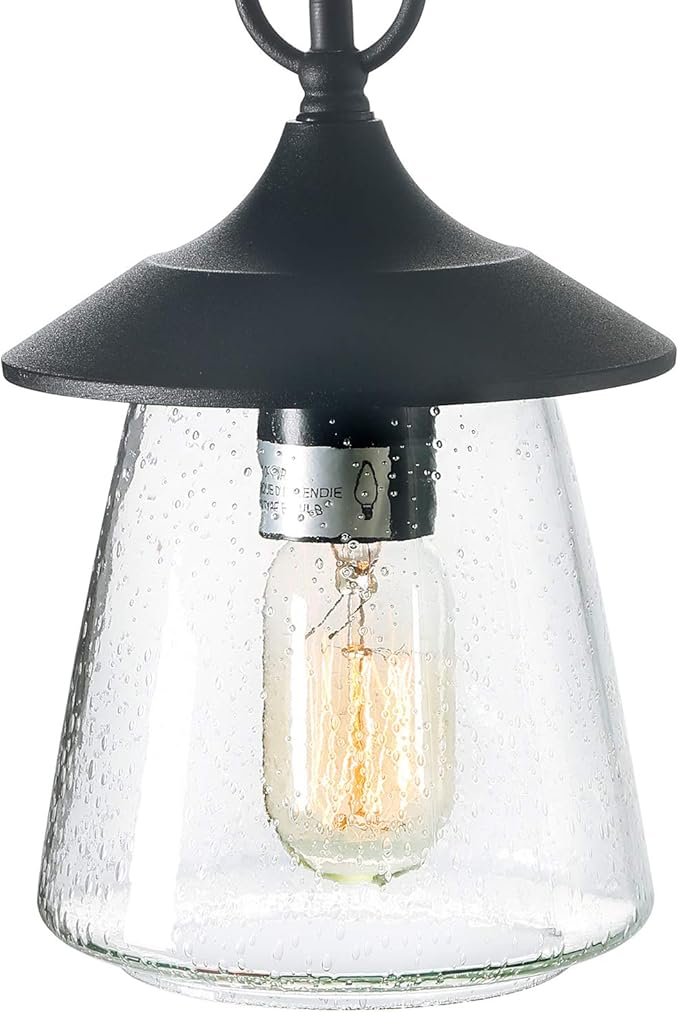 LOG BARN Outdoor Pendant Lights, Porch Fixture in Painted Black Metal with Clear Bubbled Glass Globe, Hanging Lantern Lamp for Gazebo, Entry, Yard