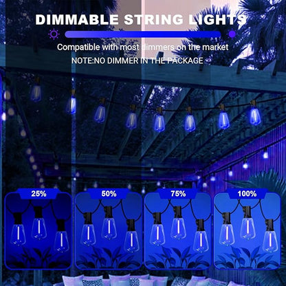 LAMPHOME 2-Pack 26Ft ST38 Outdoor String Lights, Blue LED Shatterproof Patio Lights with 12+1 Edison Bulbs, Perfect for Hanukkah, Bistro, Christmas & Party Decorations