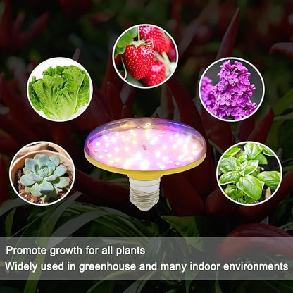 LED Grow Lights for Indoor Plants, Full Spectrum Plant Growing Lamp, E26/E27 10W Grow Light, Red Blue Grow Light for Seeds and Greens