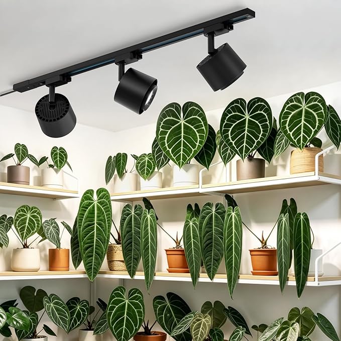 Barrina TR40c Track Grow Light System for Indoor Plants, 3 x 40W Heads, 5000K Full Spectrum Ceiling Grow Spotlight with 15°-60° Adjustable Beam Angle for Greenhouse with Timer, Black H-Type Rail