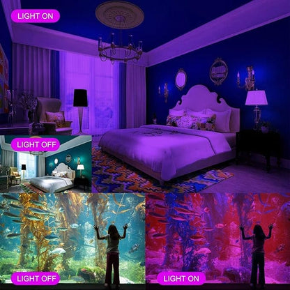 Black Lights Tansir 300W LED Flood Light Outdoor with Plug(6ft Cable) for Halloween Party, Stage Lighting, Aquarium, Body Paint, Fluorescent Poster, Neon Glow in The Dark Night (2 Pack)