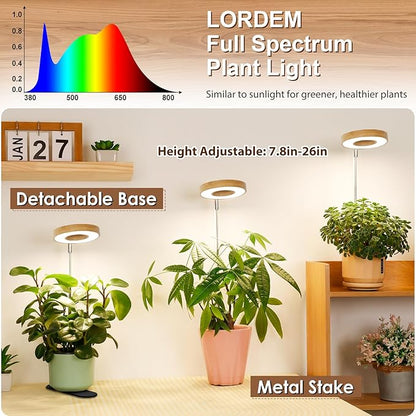 LORDEM Bamboo Base Desktop Grow Light, LED Plant Lamp with Full Spectrum, 4 Adjustable Brightness Levels, 4H/8H/12H Auto Timer for Indoor Plants Growing, Height Adjustable 7.8"-26", 2 Pack