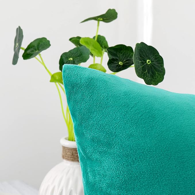 NiNi ALL Decorative Throw Pillow Covers Velvet 28x28 Inch Pack of 2 Aqua Green Cushion Covers Soft for Couch Sofa Bedroom Living Room Outdoor