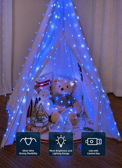 Brightown 300 LED Blue Fairy Curtain Lights, 9.8ft x 9.8ft String Lights, USB Plug in 8 Lighting Modes Christmas String Hanging Lights with Remote for Bedroom Indoor Outdoor Party Xmas Blue 1 Pack