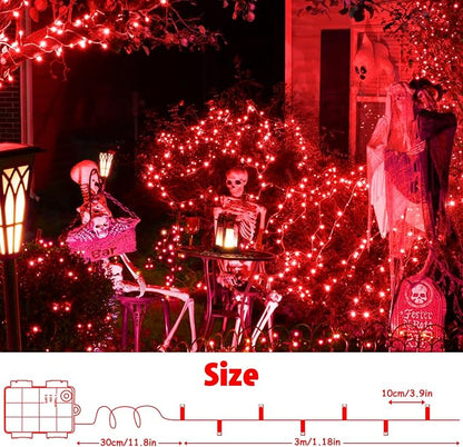 cshare String Lights Outdoor Waterproof 9.8ft 30 LED, Red Fairy Lights Battery Operated with Timer Clear Wire for Indoor & Outdoor Christmas Vanlentines Decorations Garland Party Garden