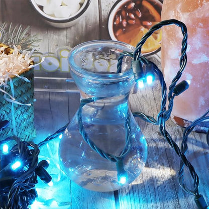 50 LED 5MM Blue Christmas Lights, 17FT Indoor/Outdoor String Light, Mini Lights for Garden, Patio, Christmas Trees - Green Wire, Commercial Grade, UL Listed