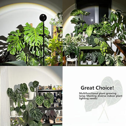 Standing Grow Light with Timer 4/8/12H, 20W Full Spectrum Vertical Grow Lights for Indoor Plant Growing, Wide Coverage, 5.24FT to 6.88FT Height Adjustable, Ideal for Large Tall Plants