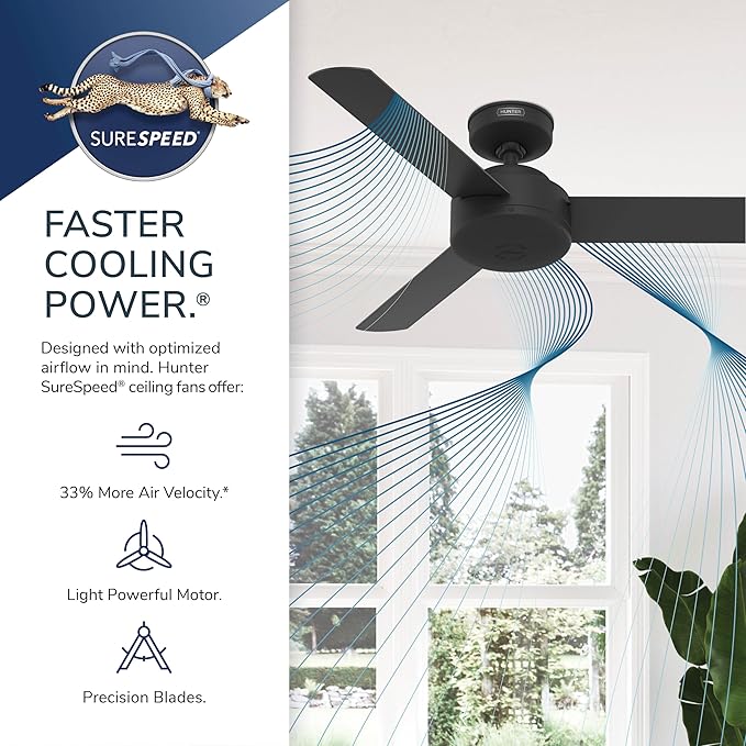 Hunter 44 inch Indoor Ceiling Fan No Light - Modern Ceiling Fan without Light, 3 Blades, Standard Mount, For Bedroom, Living Room, or Kitchen, Wall Control - Presto 52384, Dove Grey