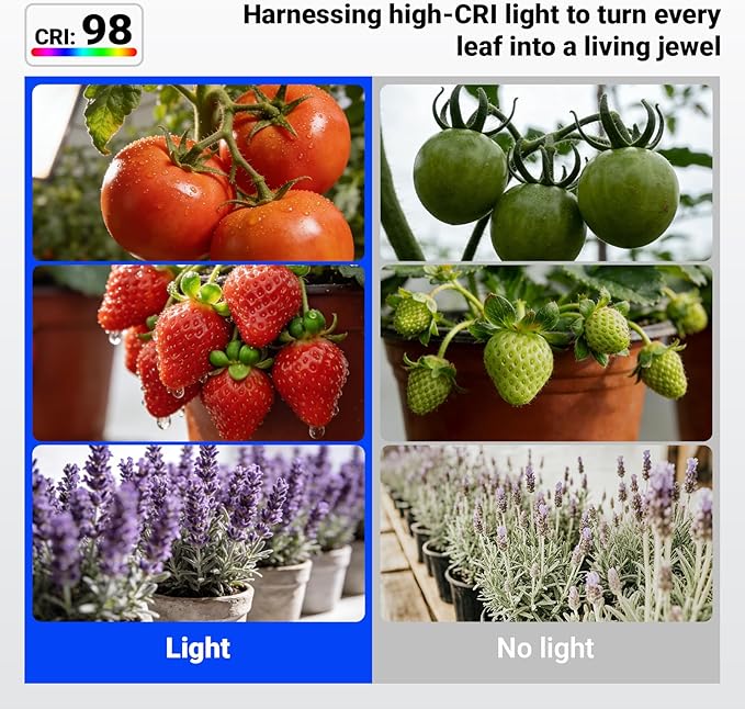 Barrina Orbgrow OG11A Grow Light Bulbs for Indoor Plants, Integrated Dimming & Timing, 4000K 22W(2 x 11W, 200 Watt Equiv), E26 Plant Light Bulb, Full Spectrum for Seeds and Greens, 2 Packs, White