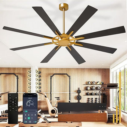 Large Ceiling Fan No Light: Modern 72 Inch 8 Blade Outdoor Ceiling Fans with Remote APP Control - Black Gold Big Fan without Light Indoor Reversible 6 Speed Quiet DC Motor