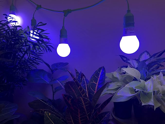 Miracle LED Craft Lighting Midnight Iris Blue Spectrum LED Grow Light Bulb Replacing 150W (4-Pack)