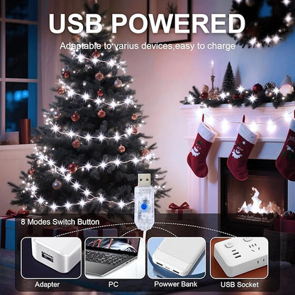 2Pack USB Plug in Fairy String Lights,16ft 50 LED Copper with Remote and Timer, 8 Modes Waterproof Twinkle String Lights Battery Powered for Bedroom Indoor Party Wedding Christmas Decoration